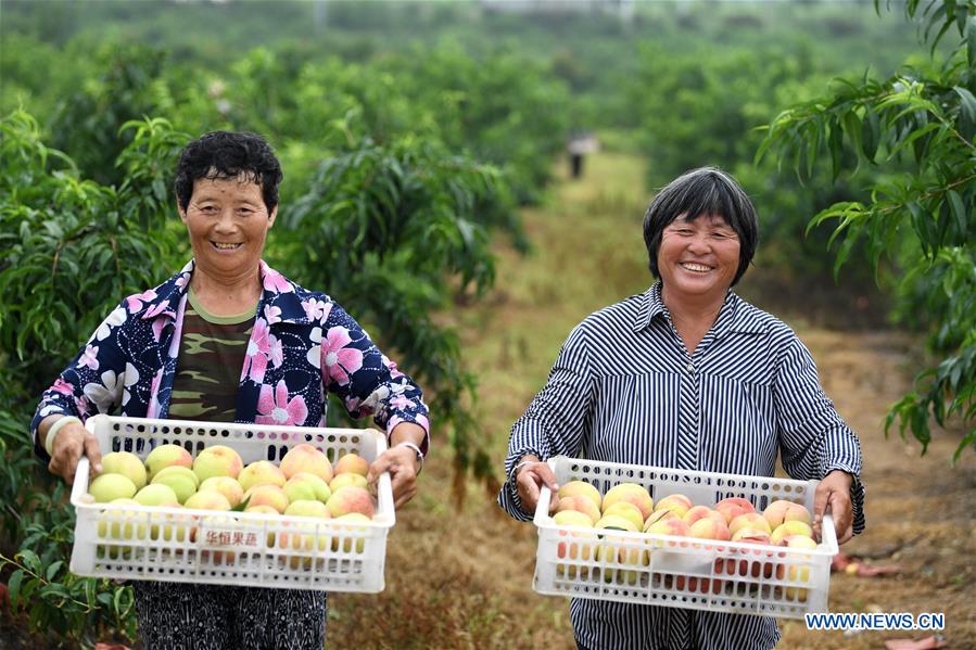 CHINA-ANHUI-MINGGUANG-PEACH (CN)