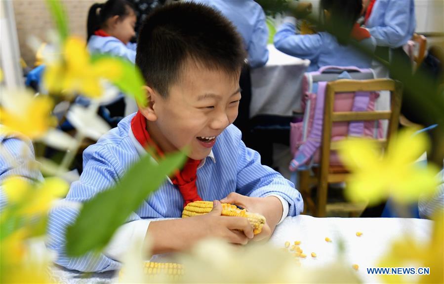 CHINA-HEBEI-WORLD FOOD DAY (CN)