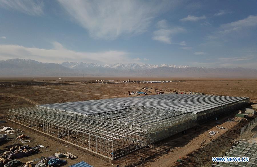 CHINA-GANSU-JIUQUAN-GOBI DESERT-AGRICULTURE (CN)