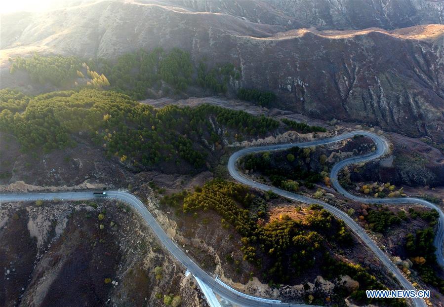 CHINA-INNER MONGOLIA-HORINGER COUNTY-AUTUMN SCENERY (CN)