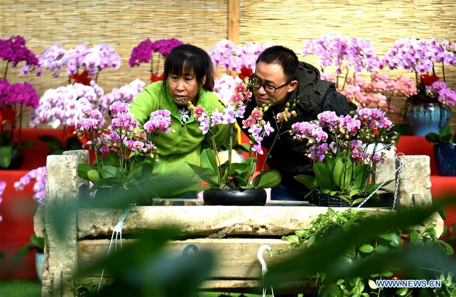 CHINA-HEBEI-GU'AN-FLOWER ECONOMY (CN)