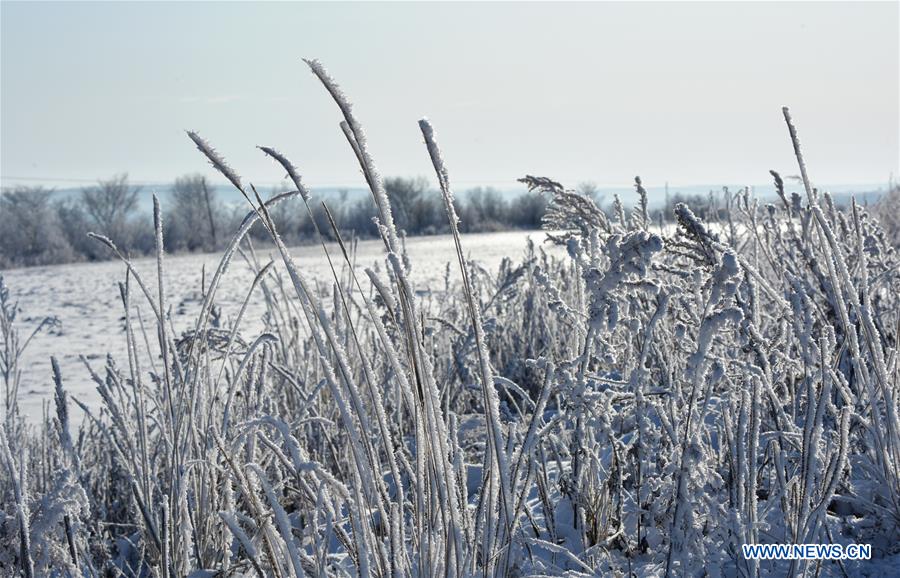 #CHINA-HEILONGJIANG-HUMA-RIME (CN)