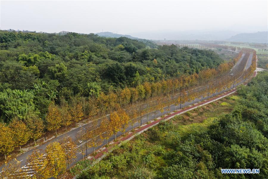 CHINA-CHONGQING-GUANGYANG ISLE-WINTER SCENERY (CN)