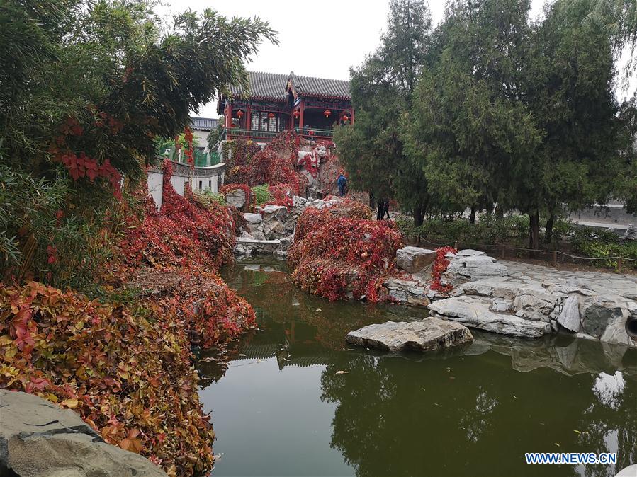 (BeijingCandid)CHINA-BEIJING-AUTUMN (CN)