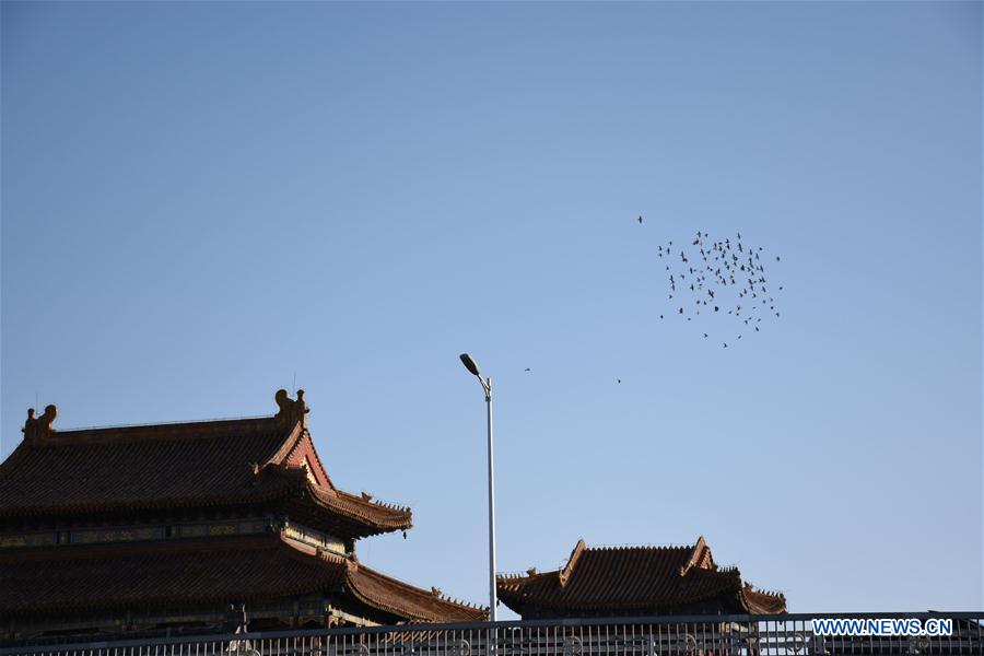 (BeijingCandid)CHINA-BEIJING-AUTUMN (CN)