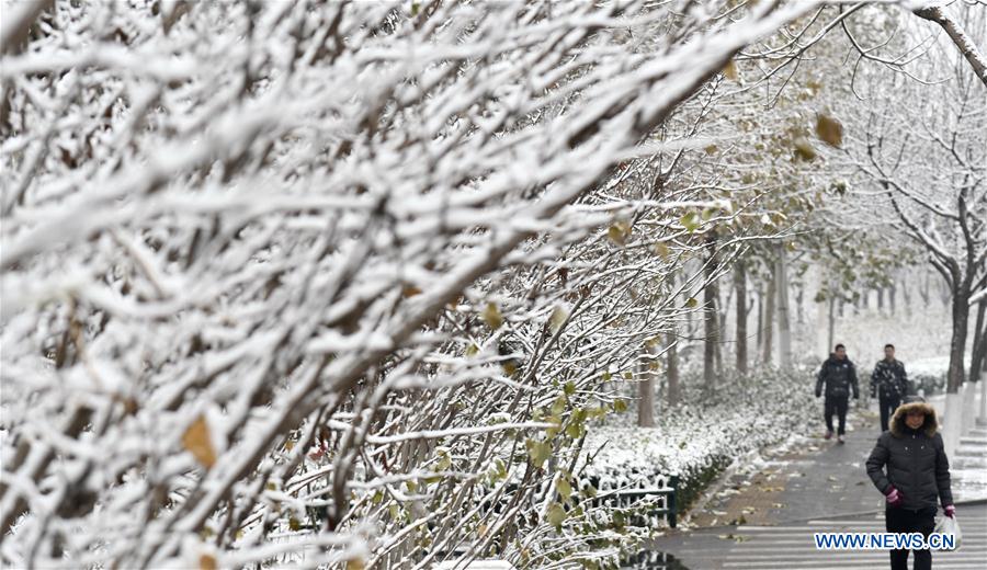 CHINA-BEIJING-SNOW-SCENERY (CN)