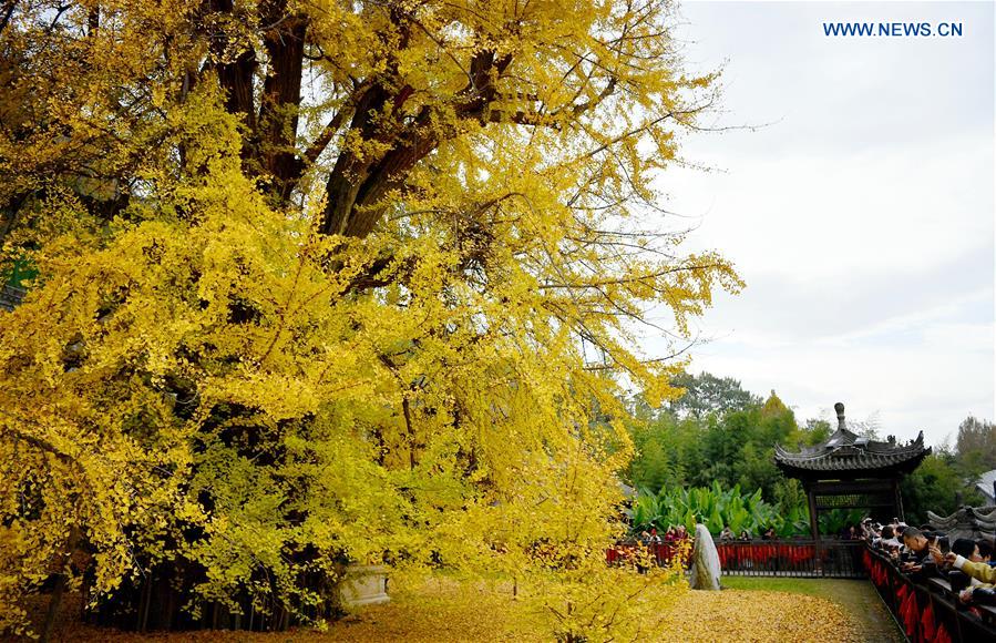 CHINA-SHAANXI-QINLING MOUNTAINS-SCENERY (CN)