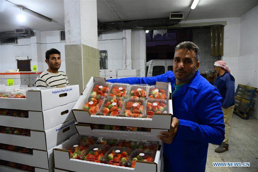 MIDEAST-GAZA-STRAWBERRY-EXPORT