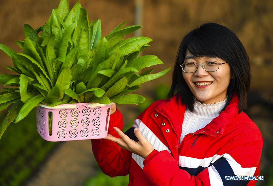 CHINA-HEBEI-WUQIANG-VEGETABLE-FRUIT (CN)