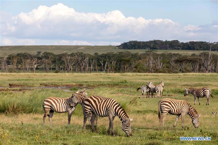 KENYA-LAKE NAKURU NATIONAL PARK-NEW YEAR HOLIDAY