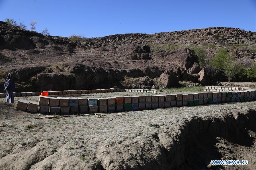 YEMEN-SANAA-HONEY INDUSTRY