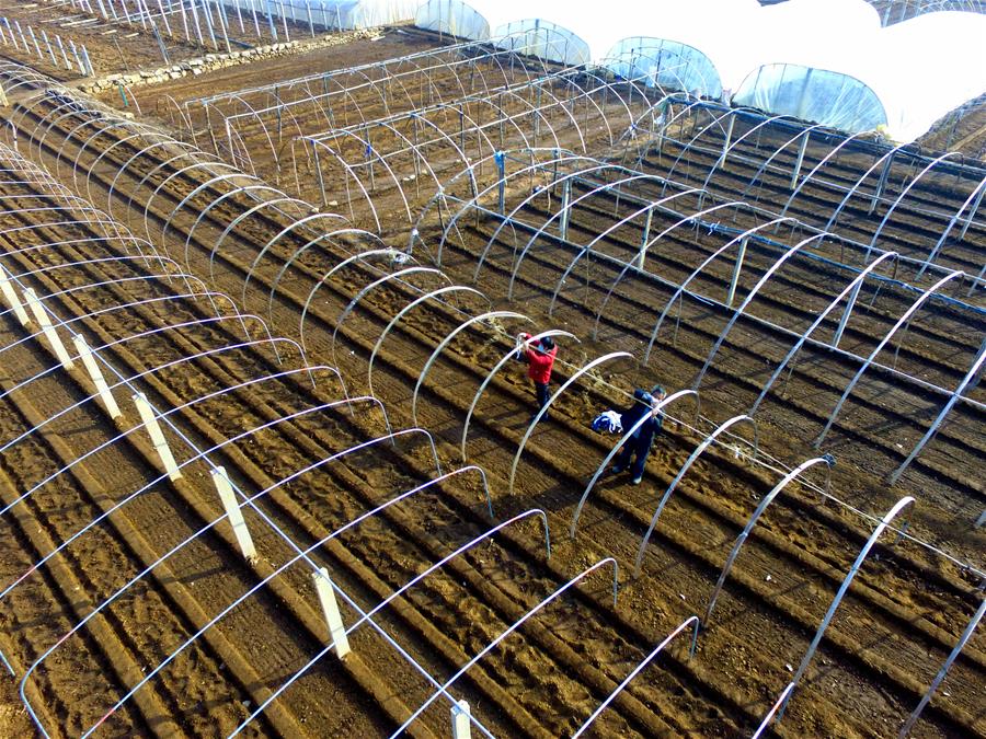 CHINA-SPRING PLOUGHING-AGRICULTURAL PRODUCTION (CN)