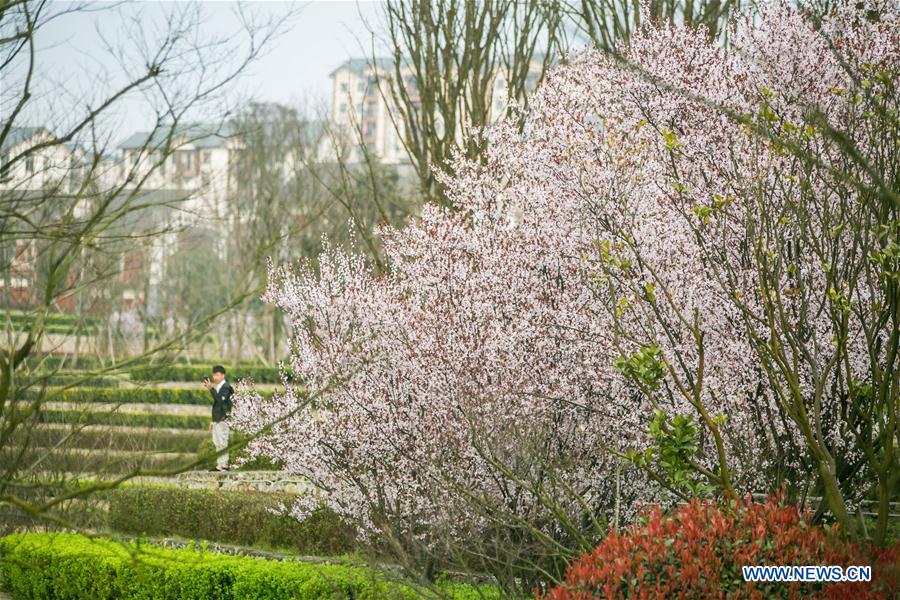 #CHINA-SPRING-SCENERY(CN)