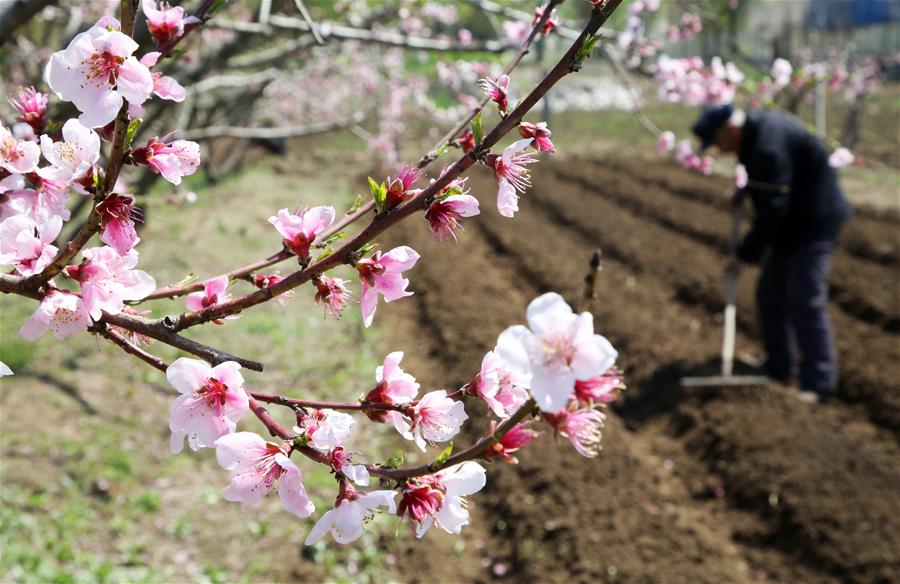 #CHINA-SPRING-FARMING (CN)