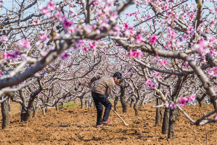 #CHINA-SPRING-FARMING (CN)