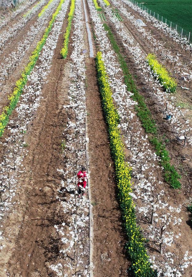 #CHINA-SPRING-FARMING (CN)