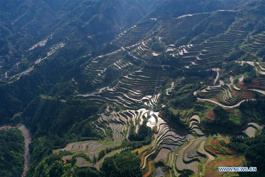 CHINA-GUANGXI-RONGSHUI-TERRACED FIELDS (CN)