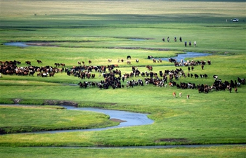 Xinhua photos of the day