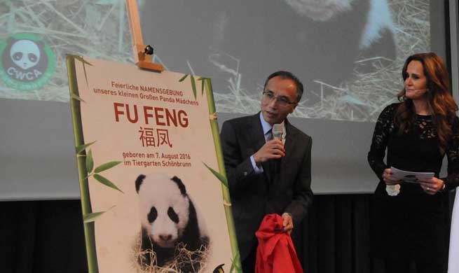 Twin panda cubs in Austria officially given names at ceremony