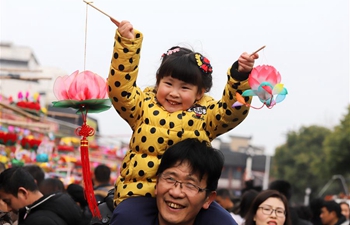 People buy colorful lanterns to greet upcoming Lantern Festival in E China