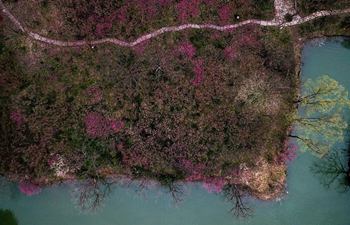 Aerial view of Xixi National Wetland Park