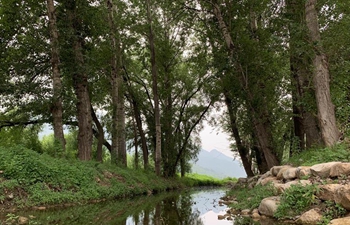 Summer scenery at Maoshan village in Huairou District of Beijing