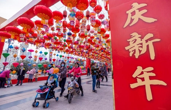 Lantern show held ahead of Spring Festival in Yuncheng, N China