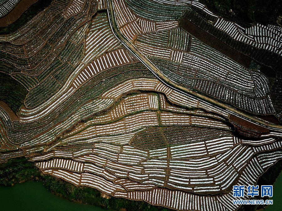 （春季美麗生態(tài)）（3）飛閱邊關山田春景