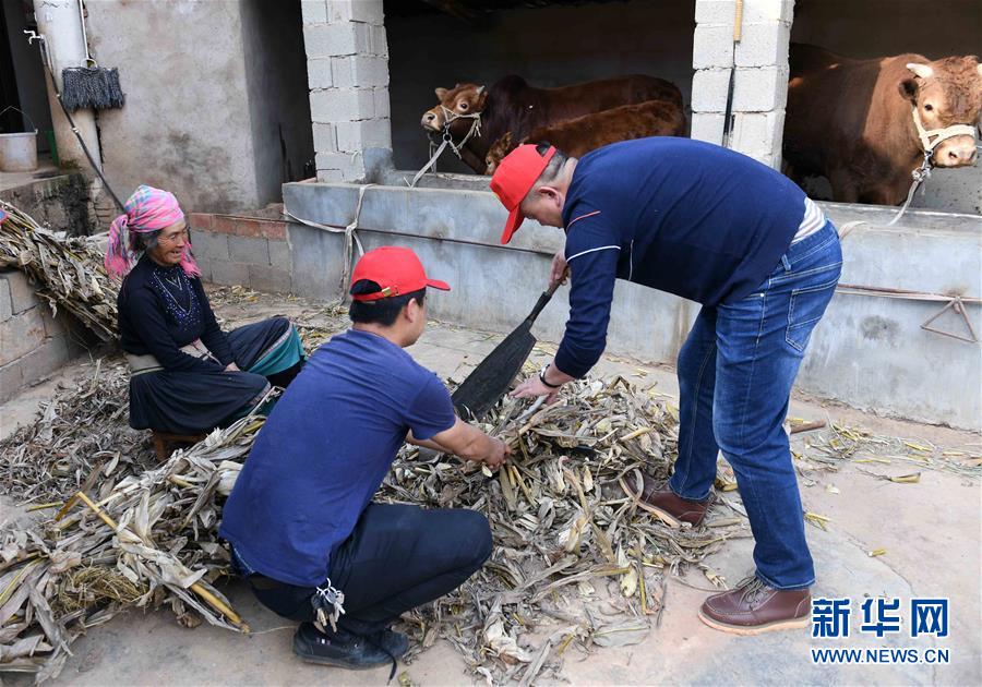 （社會）（6）云南尋甸：脫貧攻堅中的“小紅帽”幫扶隊(duì)