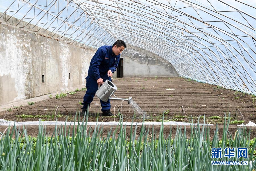 （壯麗70年·奮斗新時(shí)代·圖文互動）（11）林海孤島唱響冰與火之歌——記內(nèi)蒙古森林消防總隊(duì)大興安嶺支隊(duì)奇乾中隊(duì)