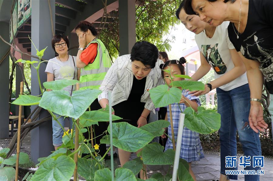 （新華全媒頭條·圖文互動）（4）上海“新時(shí)尚”：用“繡花功”解垃圾分類“大難題”