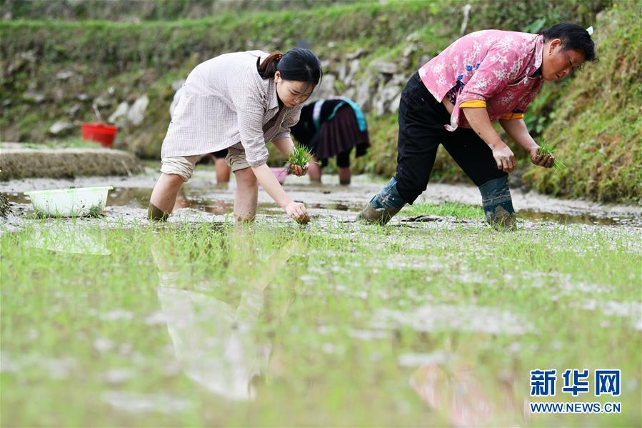 （決戰(zhàn)決勝脫貧攻堅(jiān)·圖文互動(dòng)）（4）月亮山女孩與她的“扶貧網(wǎng)格”