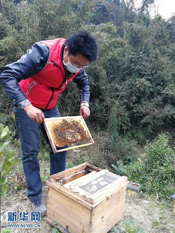 （在習近平新時代中國特色社會主義思想指引下——新時代新作為新篇章·習近平總書記關切事·圖文互動）（4）錘煉意志　輕裝上陣——黨員干部在一線磨礪閃光故事