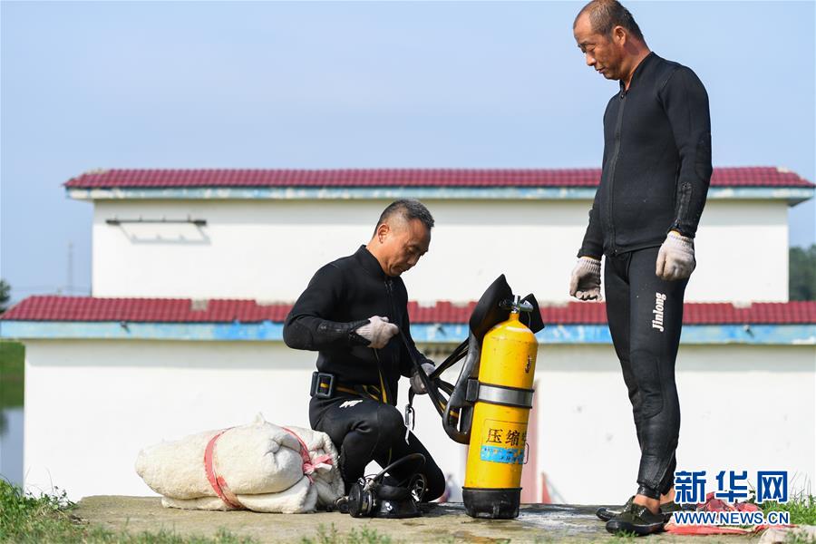 （防汛抗洪·圖文互動）（7）洞庭“蛙人”：在水下10米打響家園保衛(wèi)戰(zhàn)