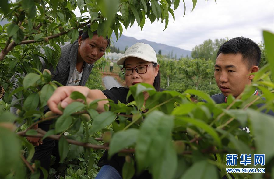 （決戰(zhàn)決勝脫貧攻堅(jiān)·督戰(zhàn)未摘帽貧困縣·圖文互動）（3）12000多個“火種”點(diǎn)亮大涼山