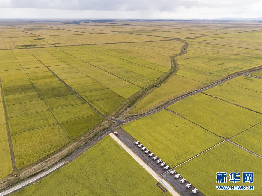 （新華全媒頭條·圖文互動(dòng)）（2）天道酬勤的大地贊歌——寫在第三個(gè)中國農(nóng)民豐收節(jié)之際