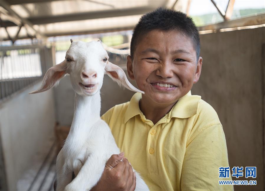 （新華全媒頭條·走向我們的小康生活·圖文互動）（5）特殊之年，荊楚大地書寫不平凡的答卷