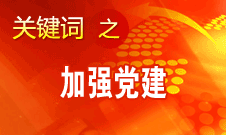 王京清：加強(qiáng)黨建必須倍加珍惜、始終堅(jiān)持、不斷發(fā)展