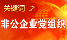 王京清：非公企業(yè)建立黨組織服務(wù)企業(yè)發(fā)展、服務(wù)員工