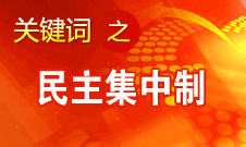 王京清：貫徹民主集中制是我們黨最大的制度優(yōu)勢(shì)