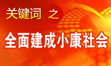 張平：必須確保到2020年全面建成小康社會(huì)