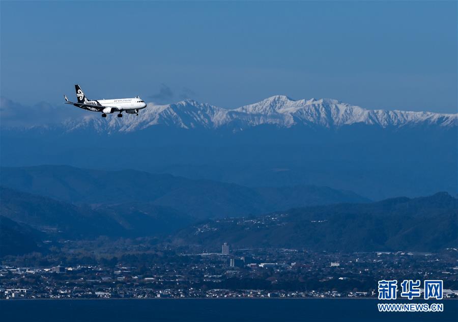 （國(guó)際）（1）新西蘭航空公司一架客機(jī)被閃電擊中后返航