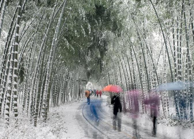 江蘇南山竹海雪后銀裝素裹現北國風光